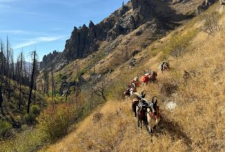 Hunting With Goats – the Underdogs of the Backcountry